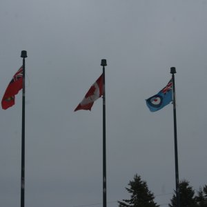IMG 4382