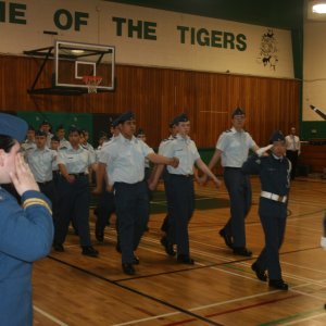 540 Preannual 41