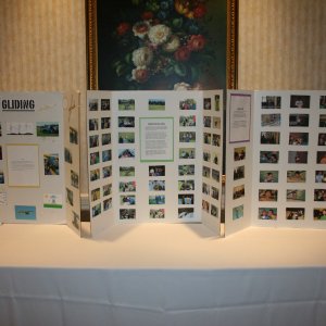 IMG 0029