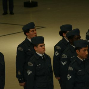 IMG 2985