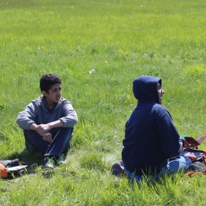 IMG 0565