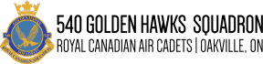 540 Golden Hawks Logo